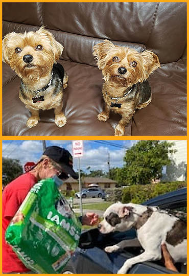 CEC Pet Food Distribution